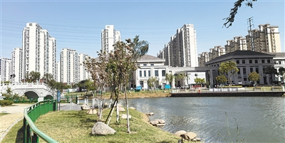206334d2-f6fe-4f43-999e-67a152971324.jpg