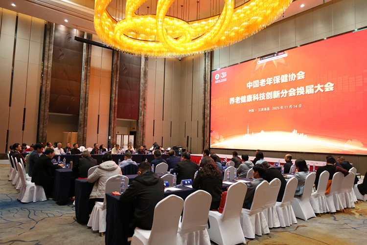 1763384930243048.jpg 0-0.jpg