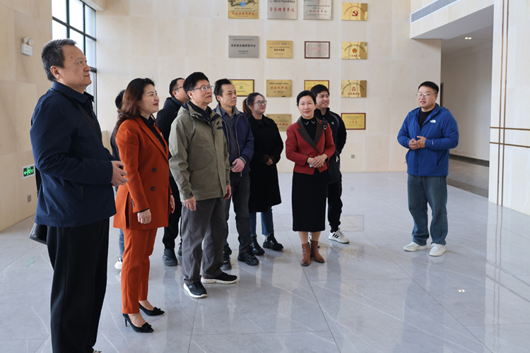 1764132634836150.jpg 4-4.jpg