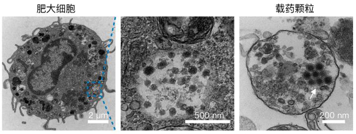 1765373908740744.jpg 20251210a159cf1f7f6b4f3aabdf771ff111f7e9_XxjdzbC000063_20251210_CBMFN0A001.jpg
