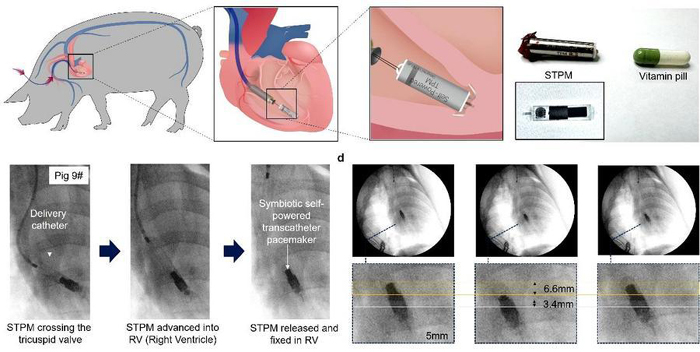 1769267959855596.jpg 2026012475247d53501f404aa65ce971097d8b09_XxjnzxC000004_20260124_CBMFN0A002.jpg